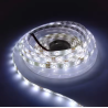 LED Strip Light - 300 Leds SMD2835 12V Waterproof - 5m