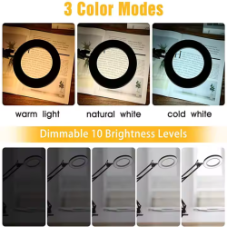 LED desk lamp with magnifier
